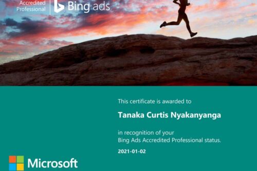 Bing Ads Accredited Professional tanaka curtis nyakanyanga