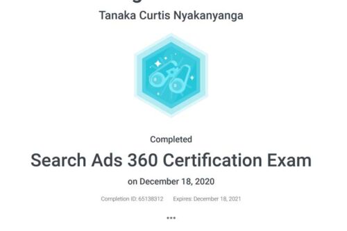 Google Search Ads 360